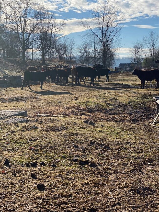 16256 Logan Rd, Siloam Springs, AR 72761 - photo 7