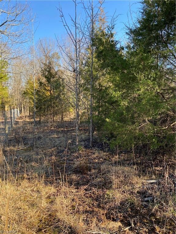 0 Southmont School Rd unit 1014118, Asheboro, NC 27205 - photo 2