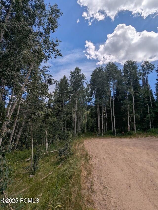 11319 E Tanglewood Dr unit 654, Timber Lakes, UT 84032 - photo 2