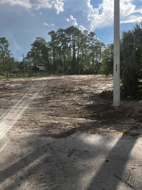 2309 Johns Ave, Alva, FL 33920 - photo 4