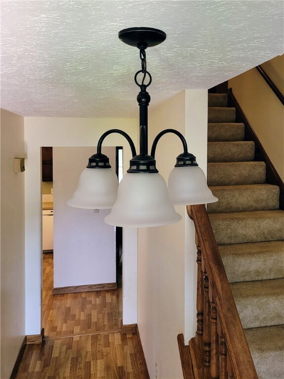 New light installed in Entry