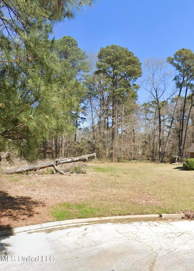 1074 Halton Ct, Brandon, MS 39047 - photo 7