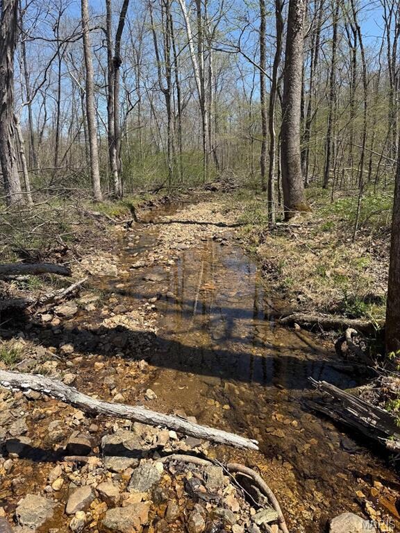 0 Bcr 300 unit MIS25064974, Marble Hill, MO 63764 - photo 7