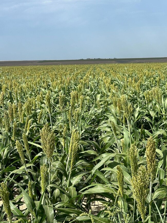 Tbd, Holly, CO 81047 - photo 5