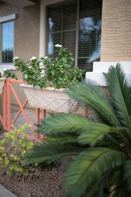Custom Planters