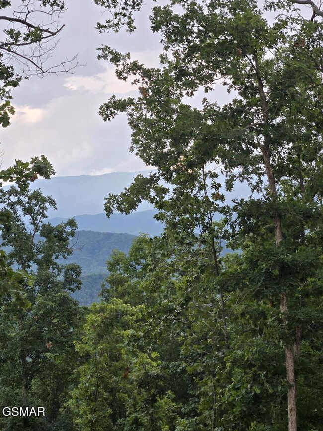 Lot 3 Shell Mountain Rd, Sevierville, TN 37876 - photo 7