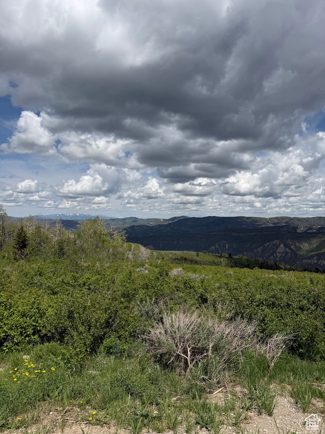 0 E Alta Dr unit D58, Spanish Fork, UT 84526 - photo 6