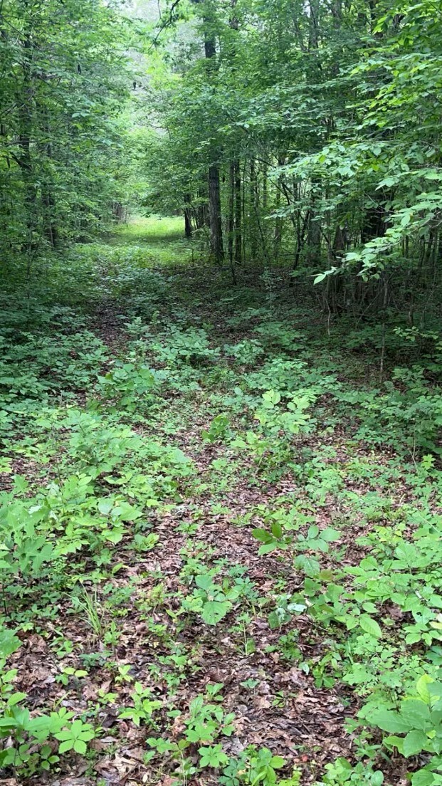 0 Milltown Rd unit RTC2656813, Lewisburg, TN 37091 - photo 2