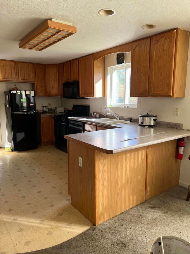 28 McGill Fern Rd