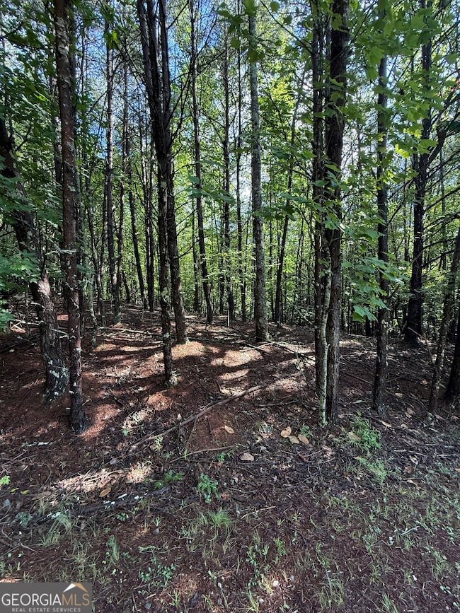 LOT 5 Marci Ln, Sautee Nacoochee, GA 30571 - photo 2