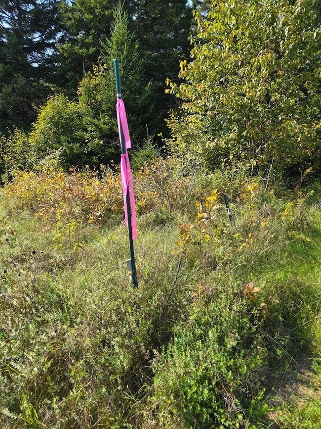 2253 Bancroft Rd, Bancroft, ME 04497 - photo 2