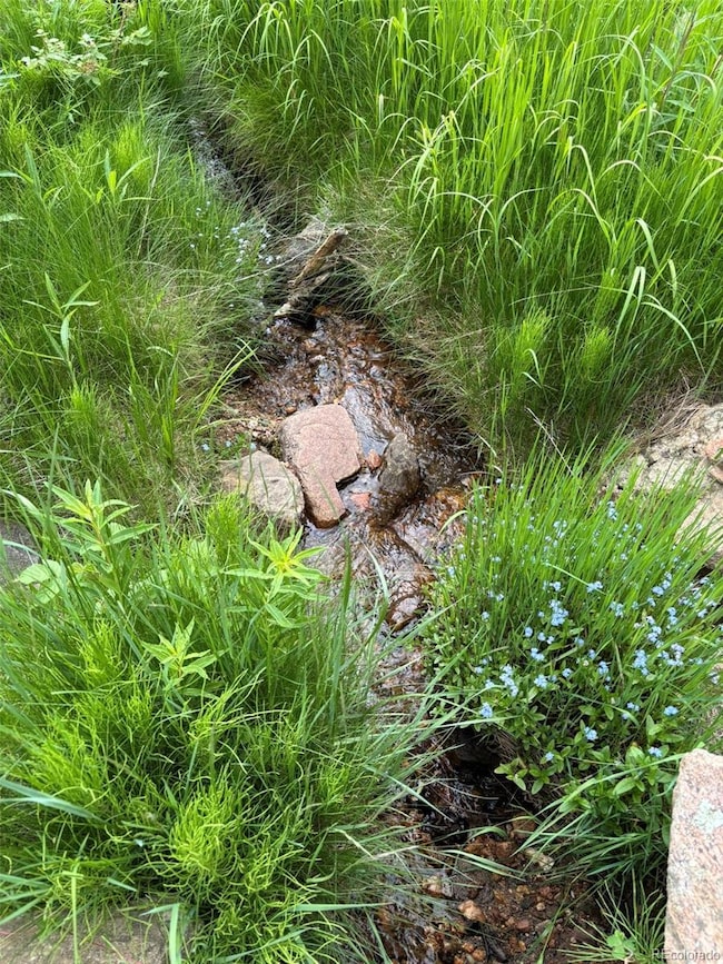 28651 Belle Pointe Dr, Conifer, CO 80433 - photo 4