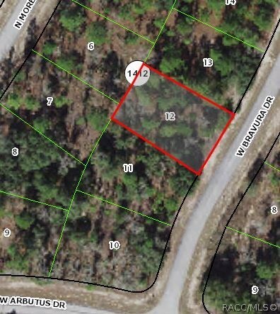 2501 W Bravura Dr, Citrus Springs, FL 34433 - photo 4