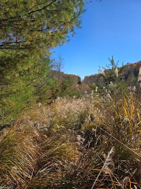 TBD Browntown Rd, Wilbar, NC 28651 - photo 6