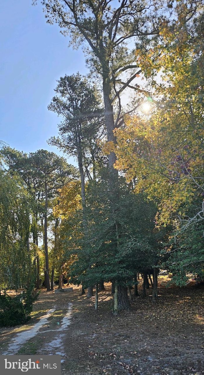 5 and 7 Woodland Ave, Ocean View, DE 19970 - photo 2