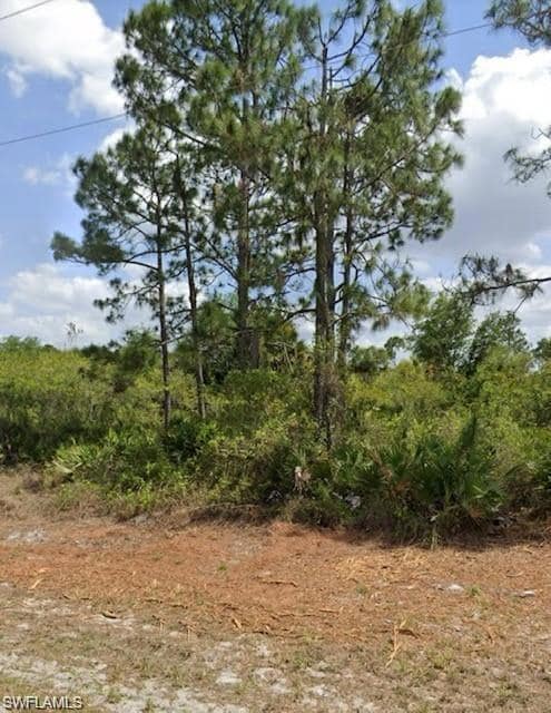 View of undeveloped land