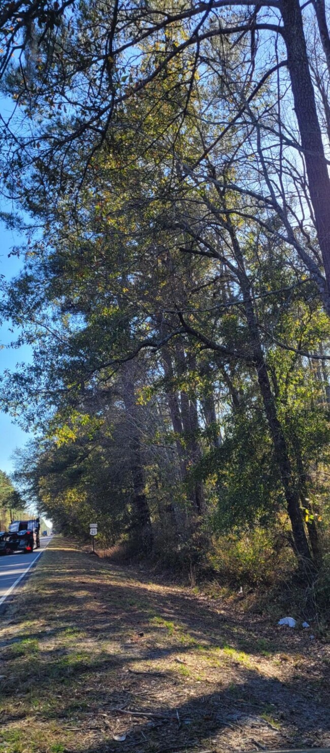 View from Lowcountry Highway