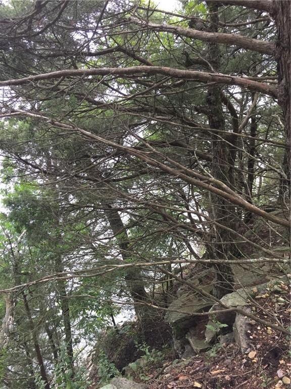 0 Shockley Place Rd, Township 2, AR 72756 - photo 6