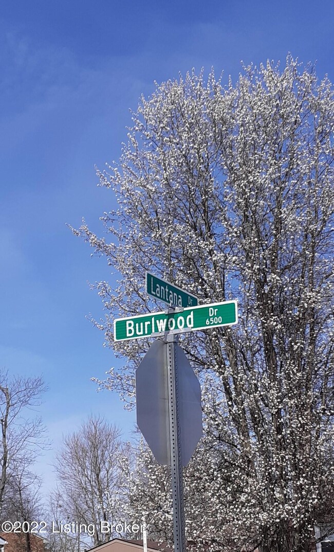 6613 Burlwood Dr, Louisville, KY 40229 - photo 2