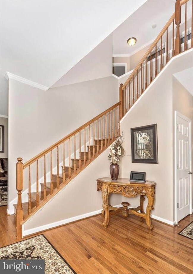 567 Rivanna Run, Falling Waters, WV 25419 - photo 4