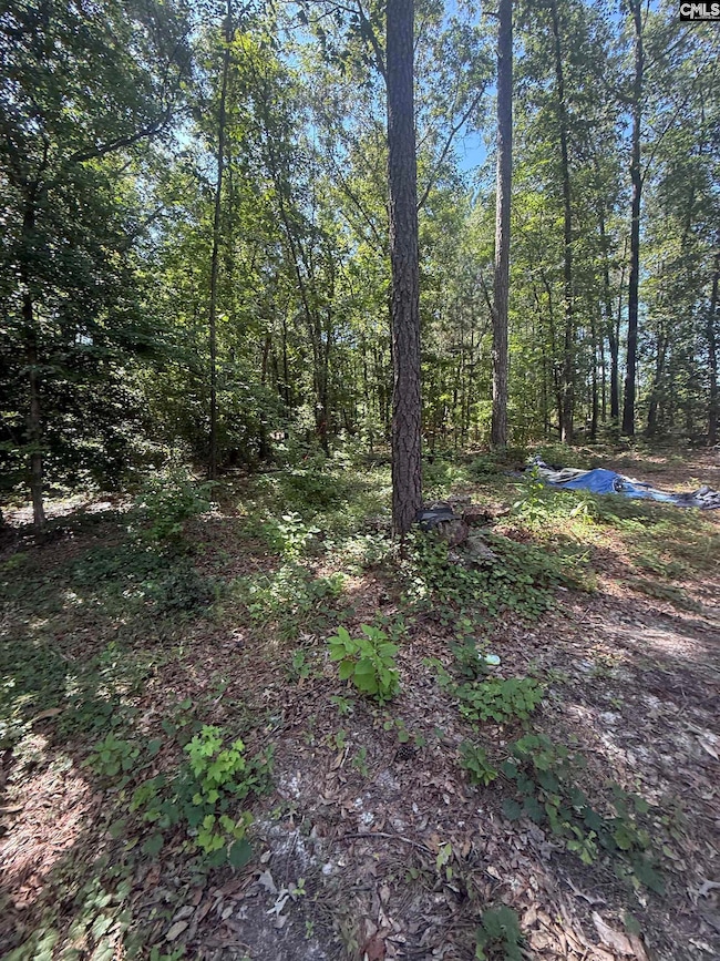 1503 Spears Creek Rd, Lugoff, SC 29078 - photo 5