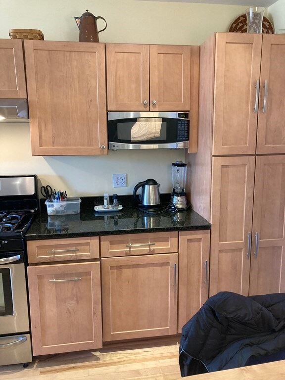 42 Bigelow St unit 2, Cambridge, MA 02139 - photo 2