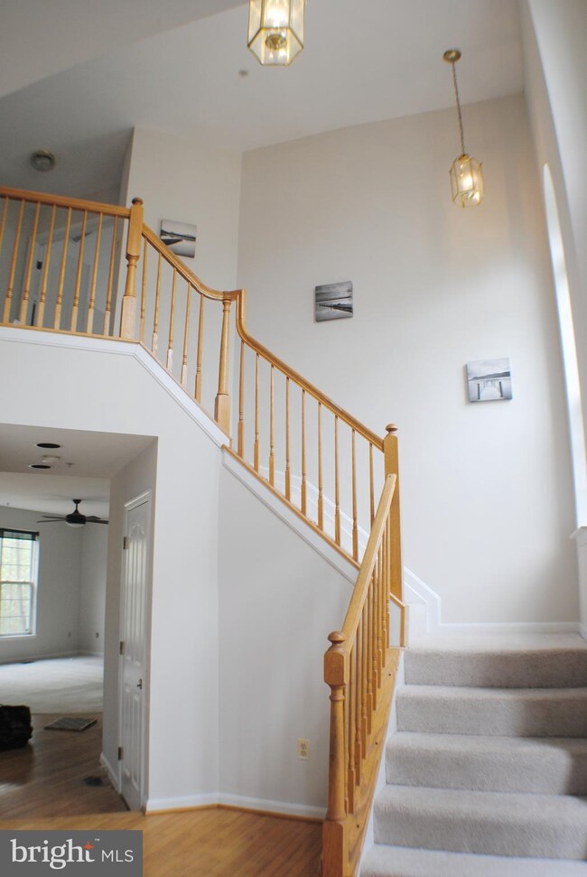 5607 Silk Tree Dr, Riverdale, MD 20737 - photo 5