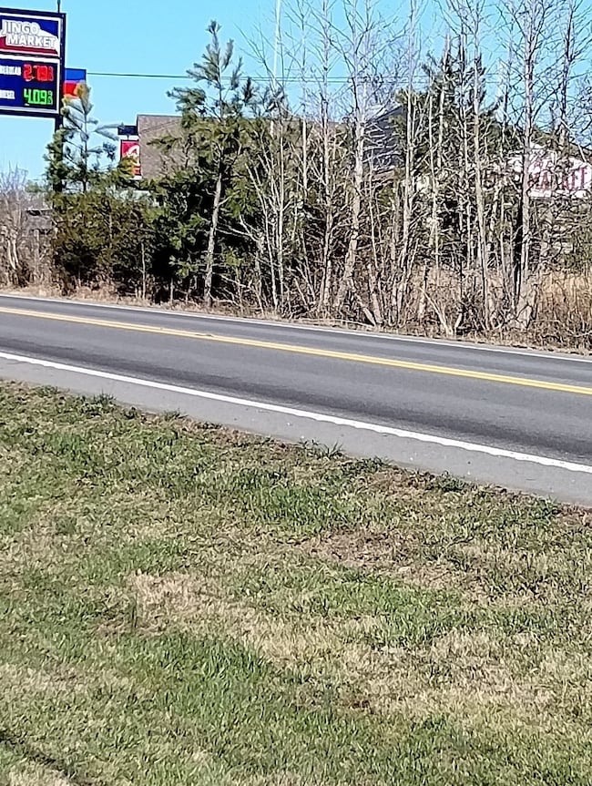 2448 Fairview Blvd, Fairview, TN 37062 - photo 3