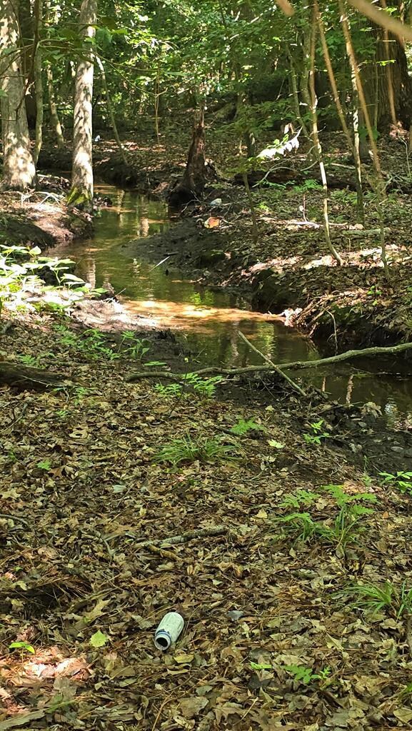 Lot A Airport Dr unit A, Melfa, VA 23410 - photo 4