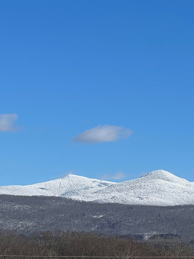 205 Dorr Dr, Rutland, VT 05701 - photo 2