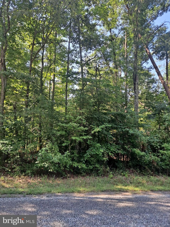 0 Poseytown Rd unit MDCH2039212, Nanjemoy, MD 20662 - photo 4