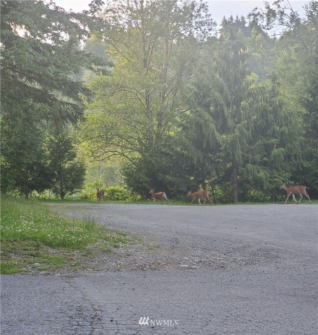 14608 228th Ave E, Orting, WA 98360 - photo 7