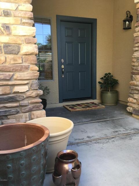 Brown Swan Door