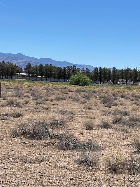 831 S Ford Loop, Pahrump, NV 89048 - photo 6