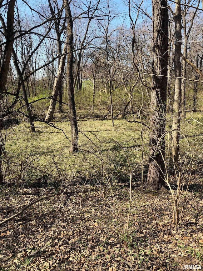 3908 Vanderbilt Cir, Springfield, IL 62711 - photo 4