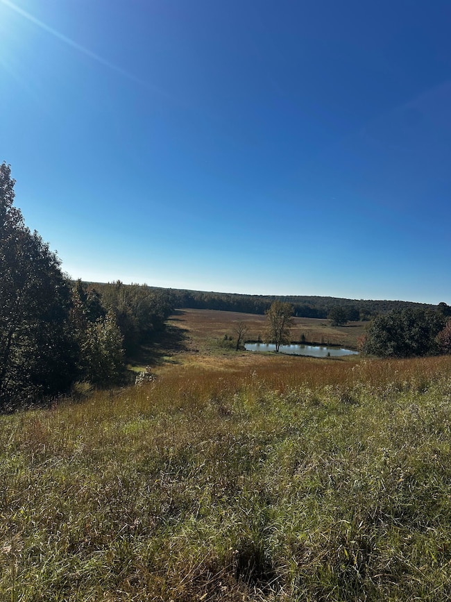 0 Webb Hill Rd, McRae, AR 72102 - photo 4