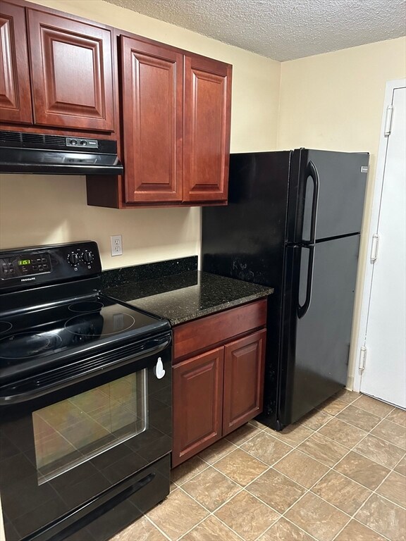 29 Village Rock Ln unit 3, Natick, MA 01760 - photo 2