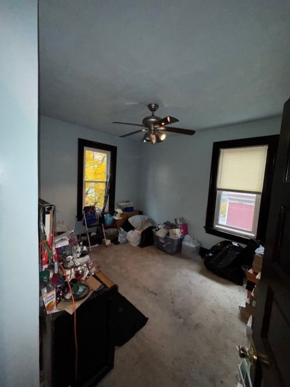 5446 Rosetta St, Pittsburgh, PA 15206 - photo 7