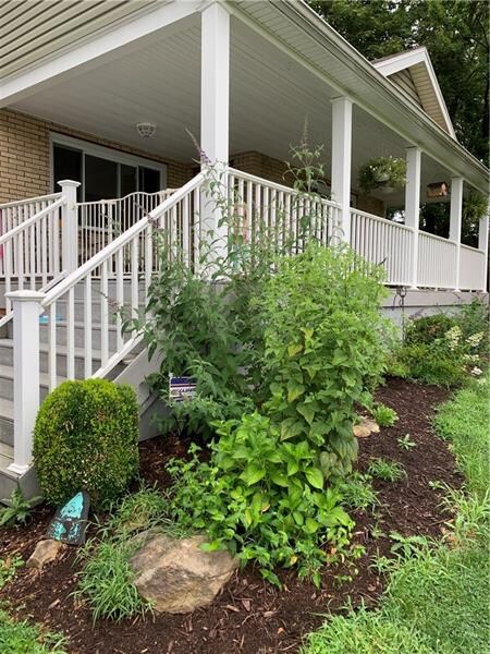 Enjoy the beautiful butterfly bush and mature land