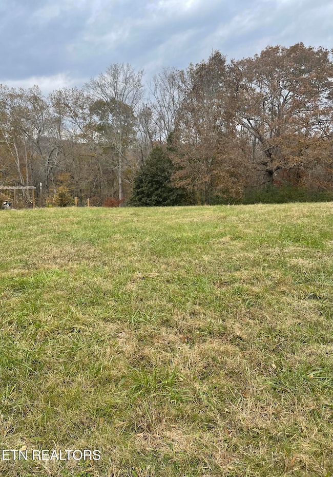 160 Brabson Ct, Kingston, TN 37763 - photo 3