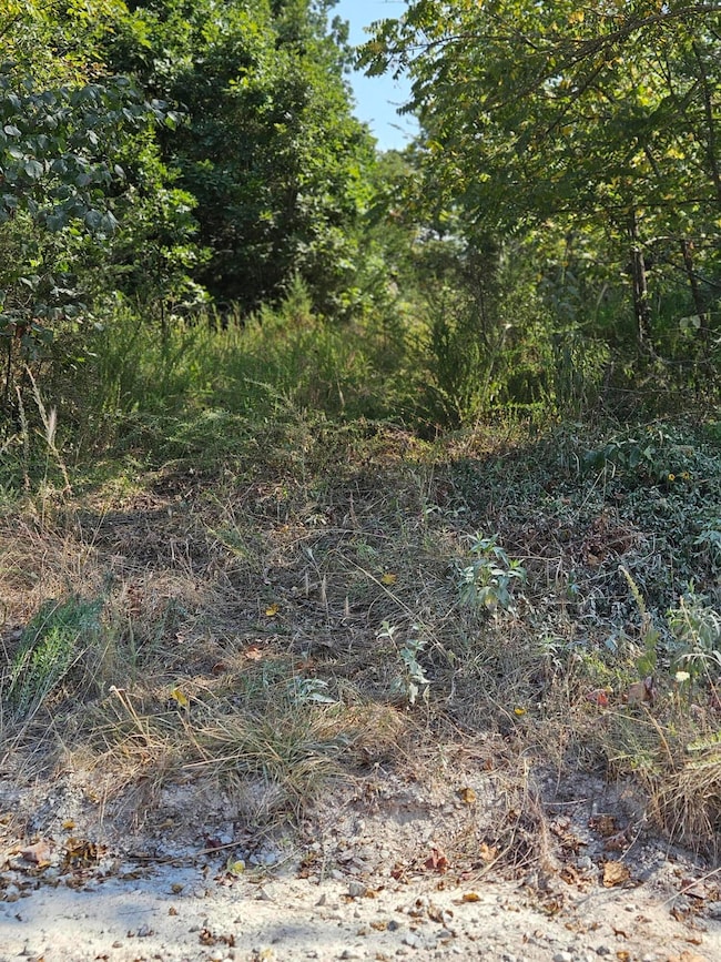 1926 E 555th Rd, Pleasant Hope, MO 65725 - photo 3