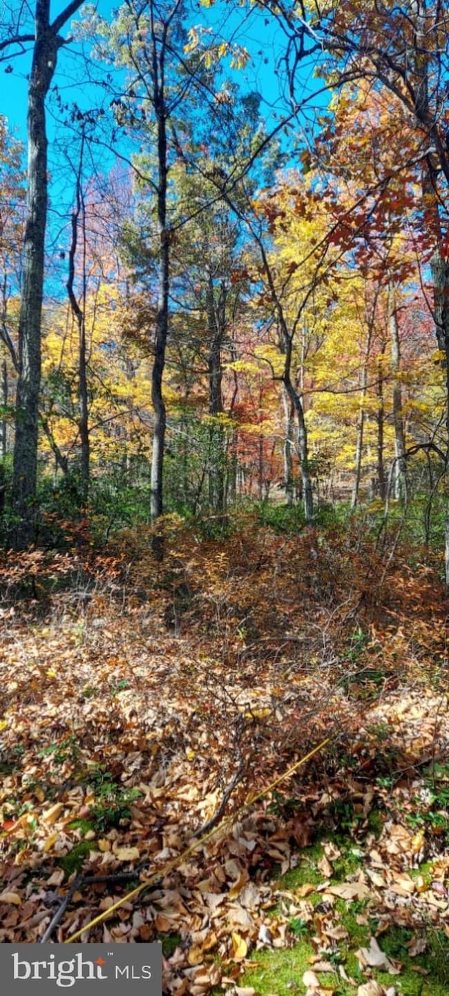 Lot 8A Little Mountain, Cabins, WV 26855 - photo 3