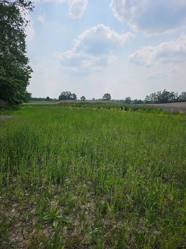 Cr 71, Saint Joe, IN 46785 - photo 6