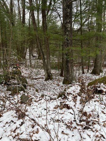 Lot C Maxwell Rd, Monson, MA 01057 - photo 7