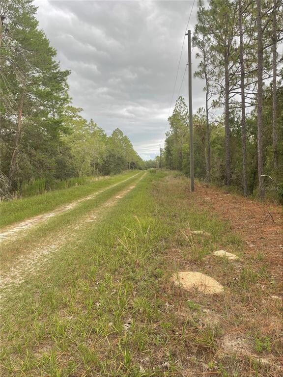 TBD SW 87th St, Dunnellon, FL 34431 - photo 3