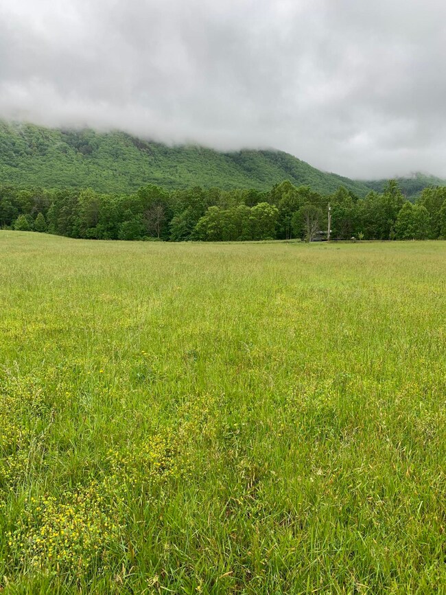 Lt 14 Old Mountain Rd, Greeneville, TN 37743 - photo 6