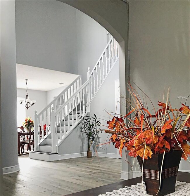 363 Tavernier Cir, Oldsmar, FL 34677 - photo 3