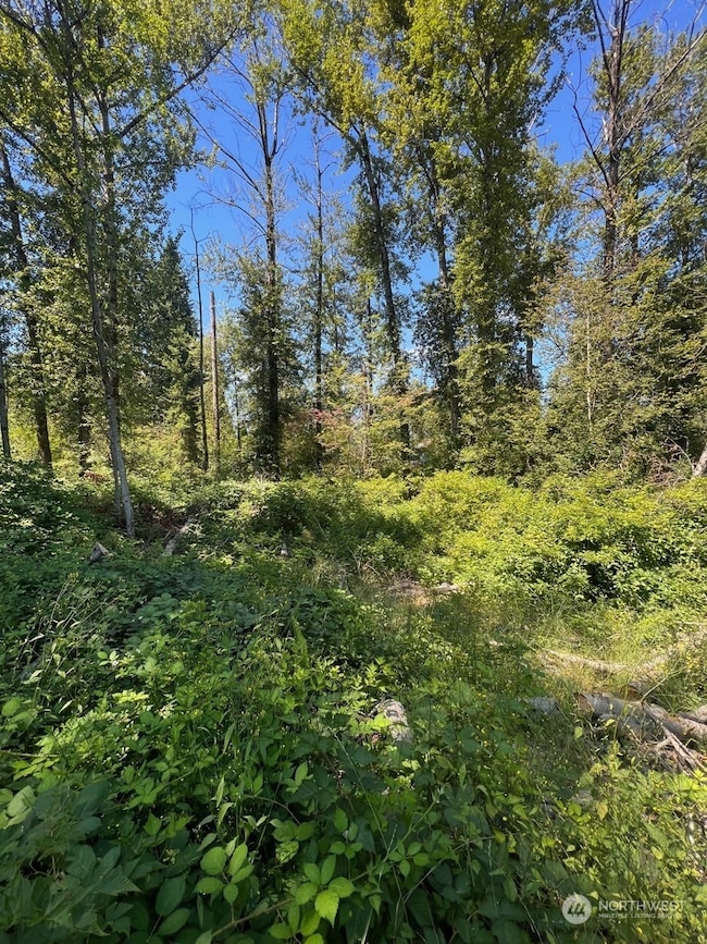 14000 Center Rd, Everett, WA 98204 - photo 7