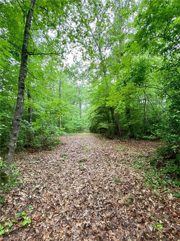 5584 Nc Highway 134, Asheboro, NC 27205 - photo 7