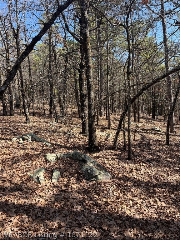 TBD 1156th Ave, Red Oak, OK 74563 - photo 4